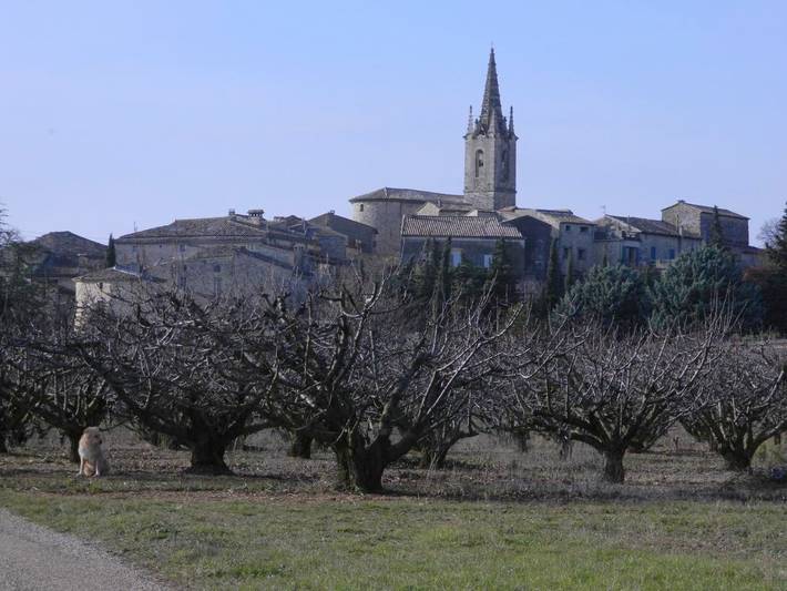 Maison d’hôte pour 3 personnes, avec terrasse à Issirac