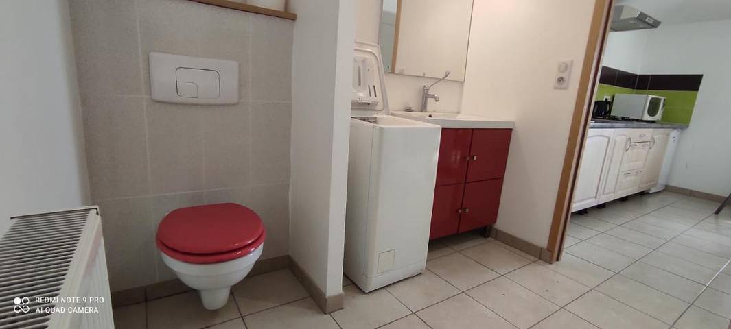 Gîte pour 4 personnes, avec jardin et terrasse à Saint-Maigrin - 3