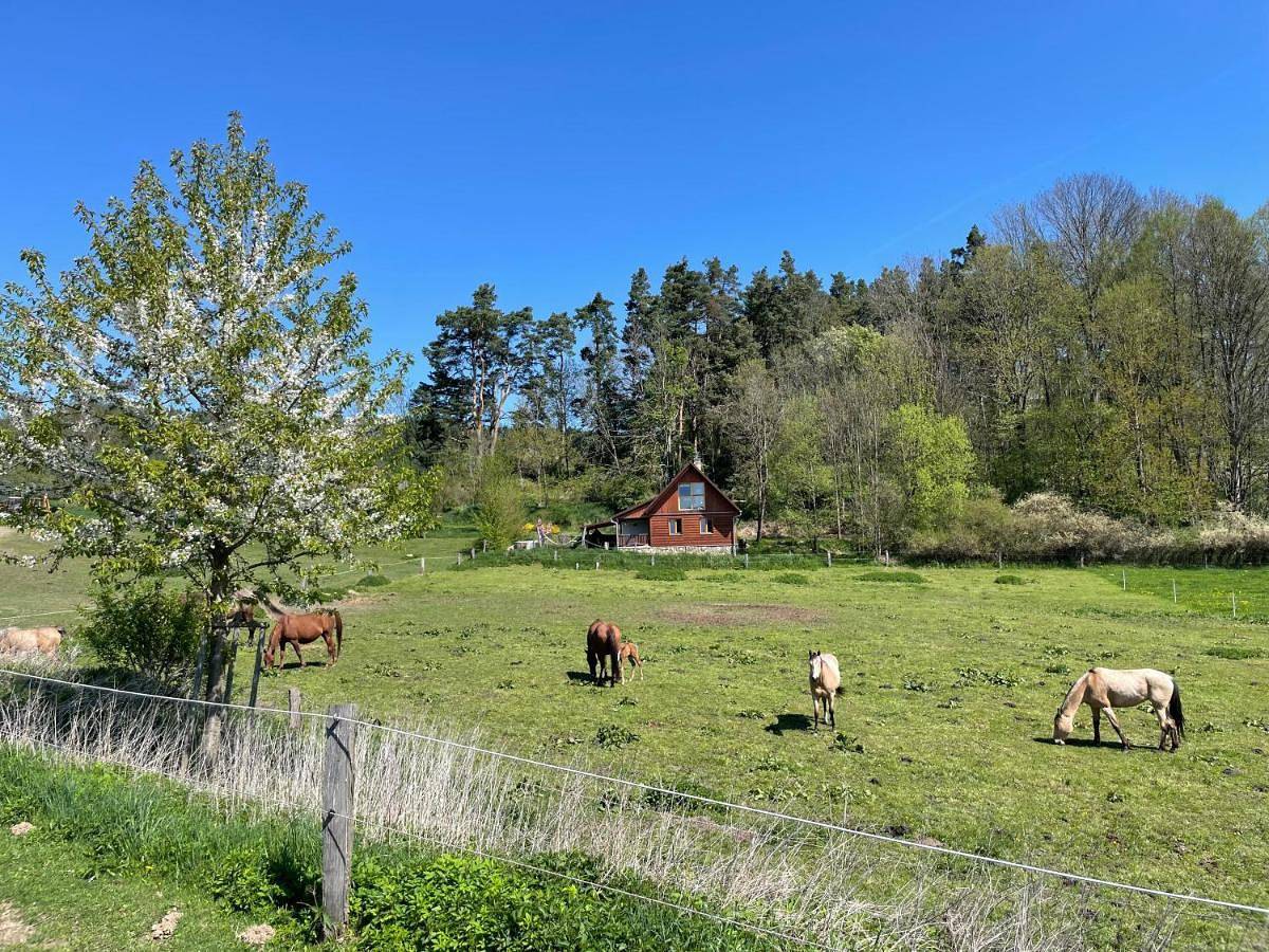 Ubytování Ranč Malenice in Park Narodowy Sumava