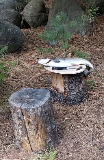 Vacation House for 10 Guests in Lake Almanor, Plumas County, Picture 4