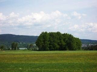 Ferienwohnung für 4 Personen, mit Balkon und Balkon/Terrasse sowie Garten in Weißenstadt - 3