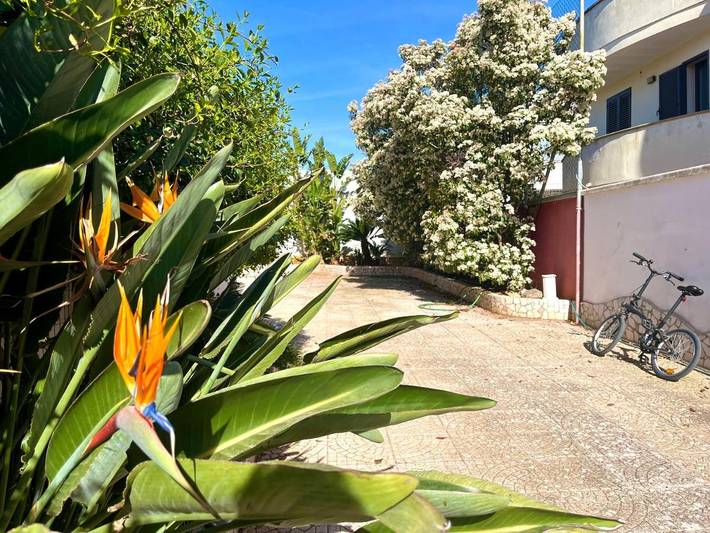 Ferienwohnung für 3 Personen, mit Garten, mit Haustier in Porto Cesareo