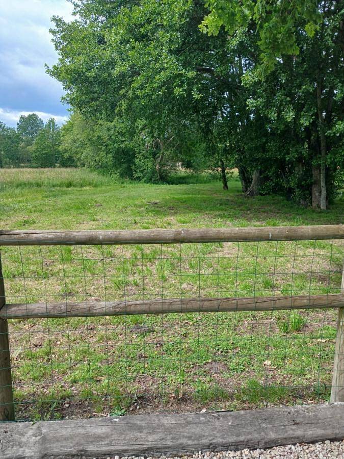 Location de vacances pour 8 personnes, avec terrasse, animaux acceptés dans Beaufay - 2