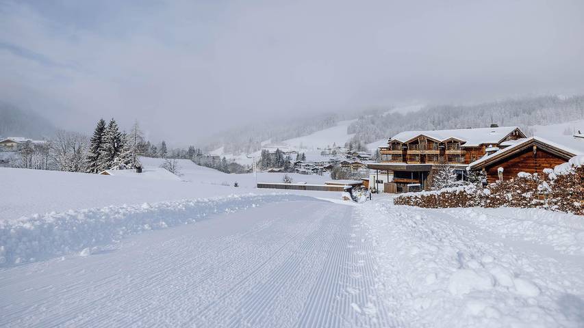 Ferienanlage für 6 Personen, mit Balkon und Terrasse sowie Garten und Pool im Salzburger Land