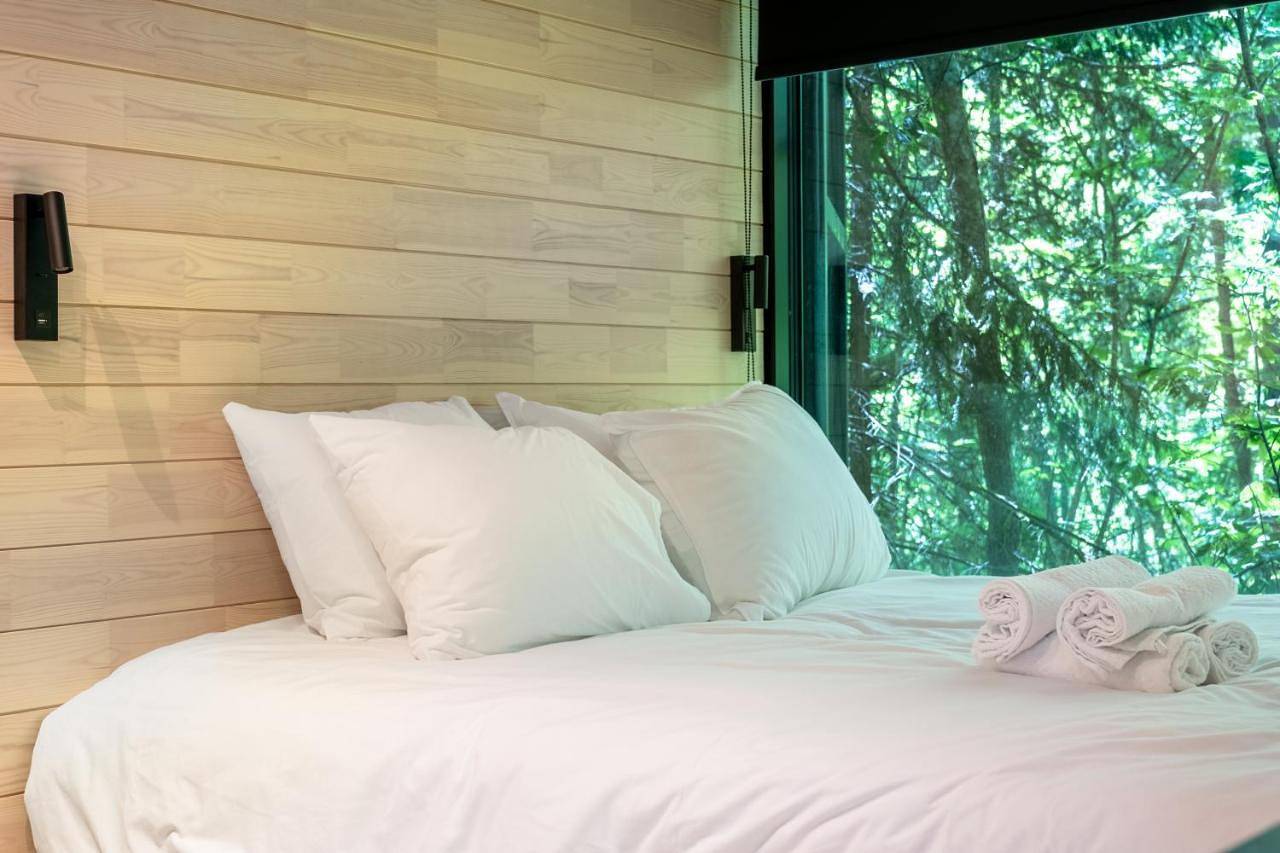 One-Bedroom House in Lahemaa National Park