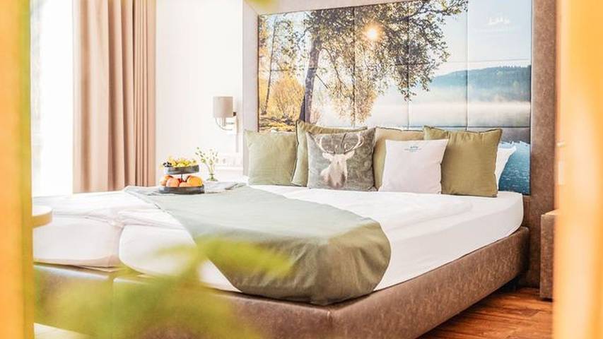 Gîte pour 3 personnes, avec piscine ainsi que balcon et sauna à Gengenbach - 4