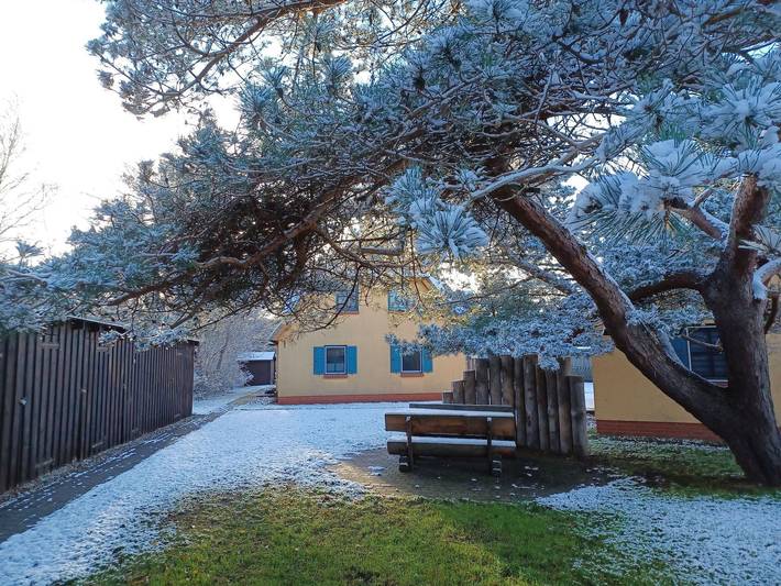 Ferienwohnung für 2 Personen, mit Terrasse und Garten, kinderfreundlich in Wustrow - 3