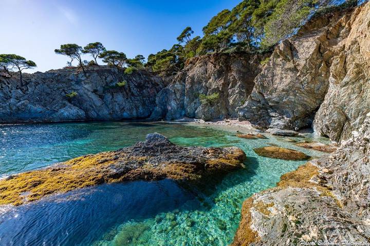 Villa pour 2 personnes, avec terrasse et vue, animaux acceptés à Giens - 4