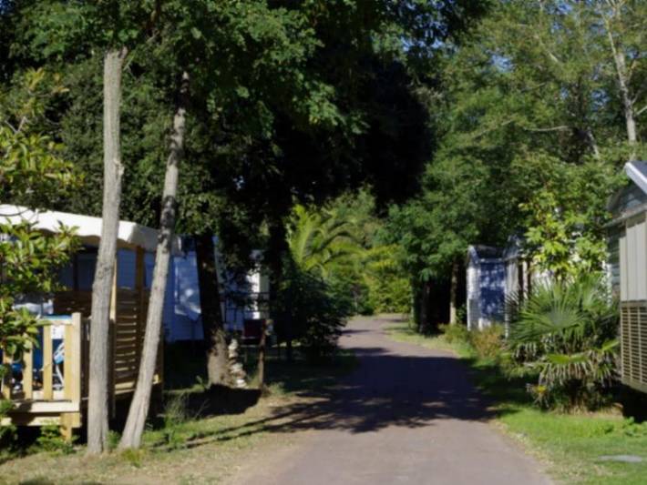 Camping pour 4 personnes à Saint-Pierre-d'Oléron - 3