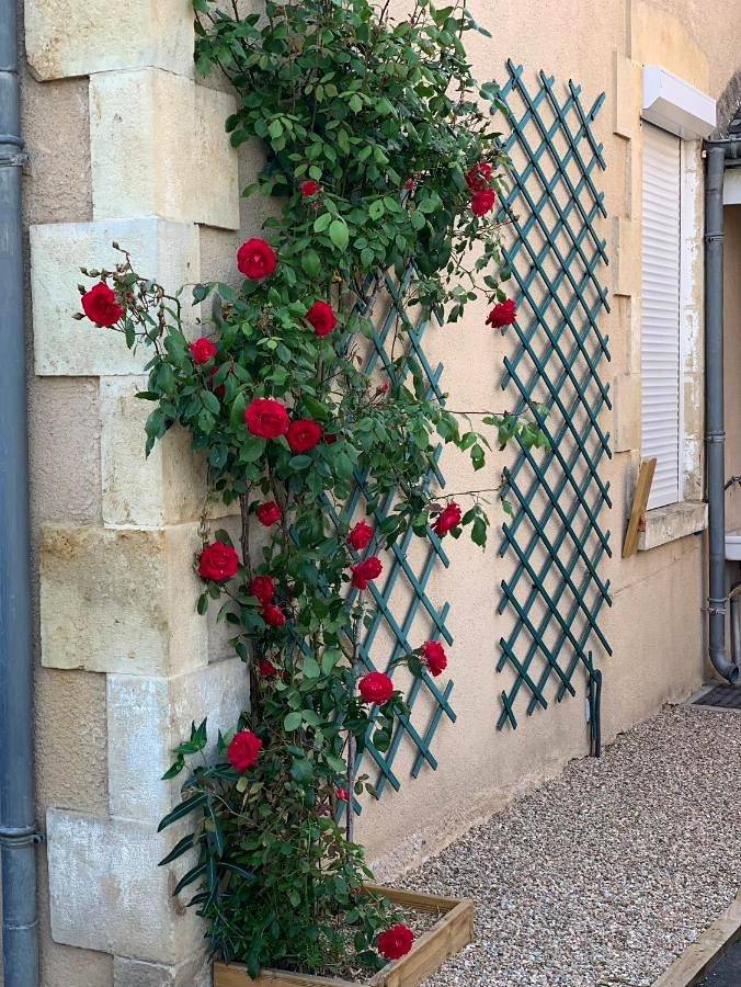 Gîte pour 2 personnes, avec terrasse à La Châtre - 3