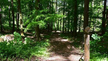 Hütte für 2 Personen in Balve, Sorpesee, Bild 3