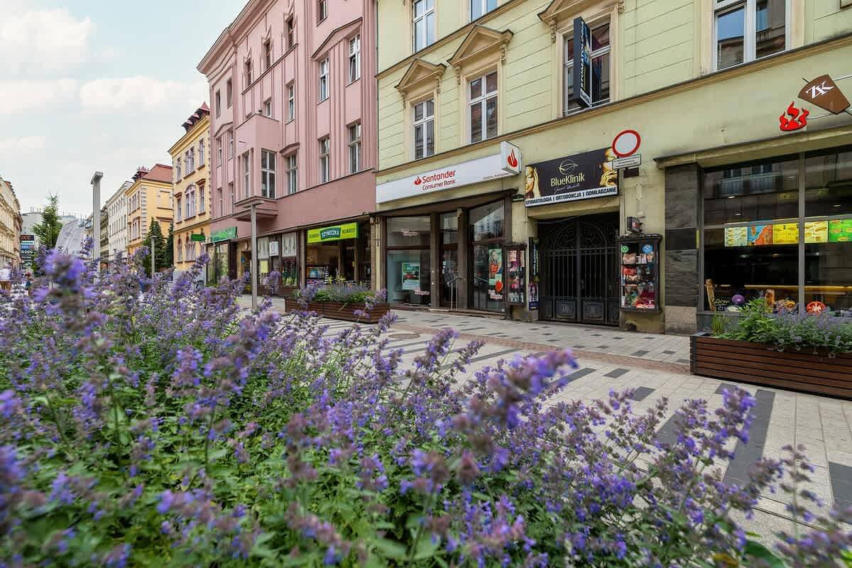 Ganze Wohnung, Stylish Apartment in the Center | Close to Market Square and Railway Station in Beuthen, Schlesien