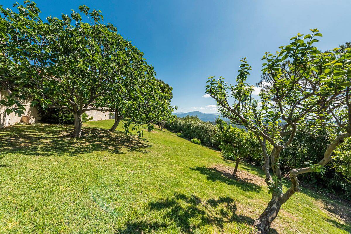 Villa Le Jardin Des Baous in Vence (Alpes Marítimos), Region de Cannes