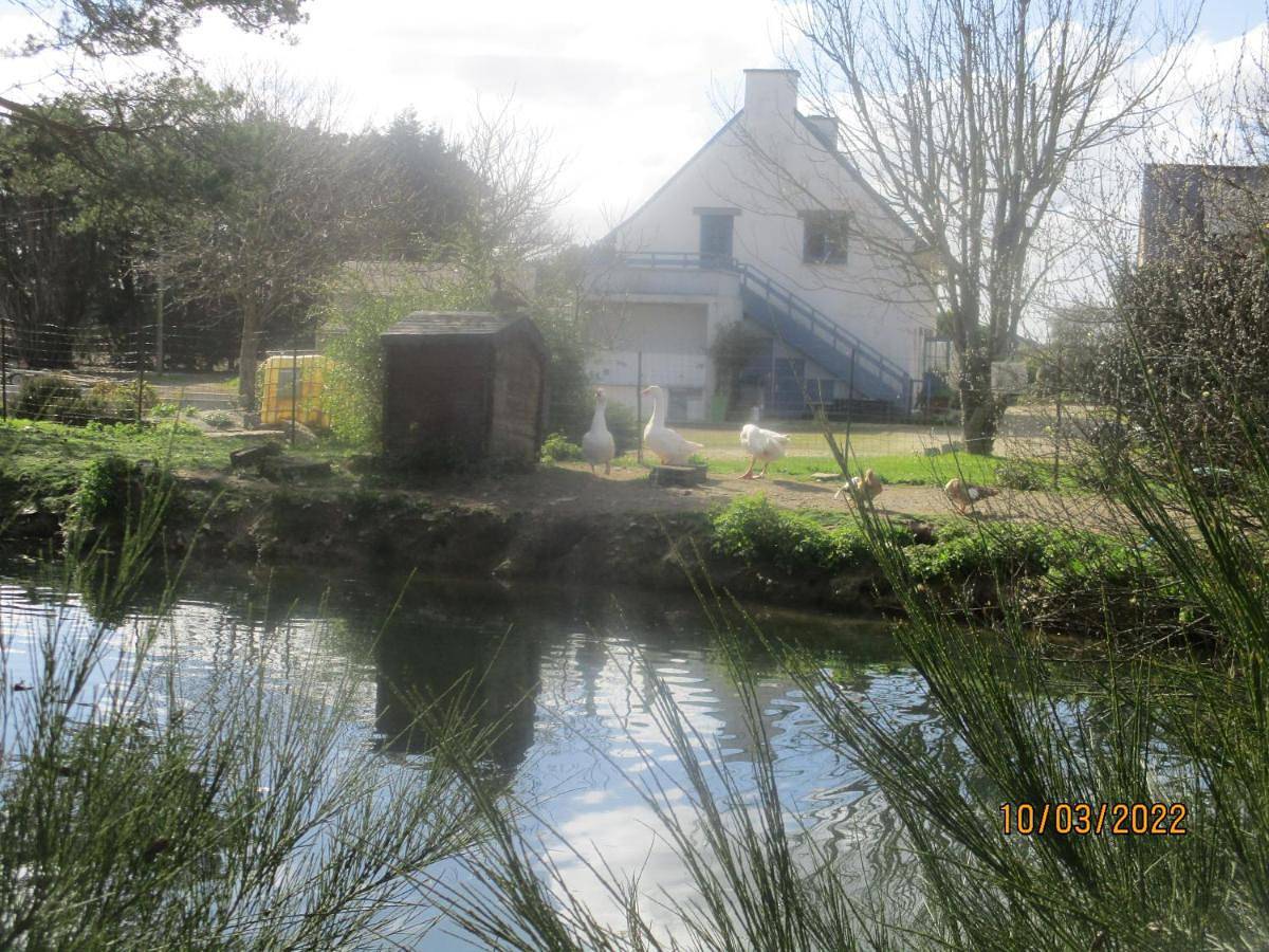 Camping Vert De Morlaix in Garlan, Ceinture Dorée