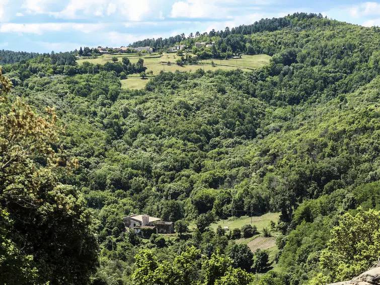 Maison 6 Personnes in Saint-Jean-du-Gard, Cevenas