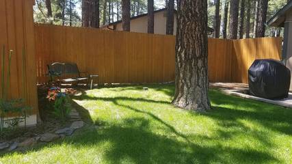 Log Cabin for 10 Guests in Coconino National Forest, Arizona, Picture 2