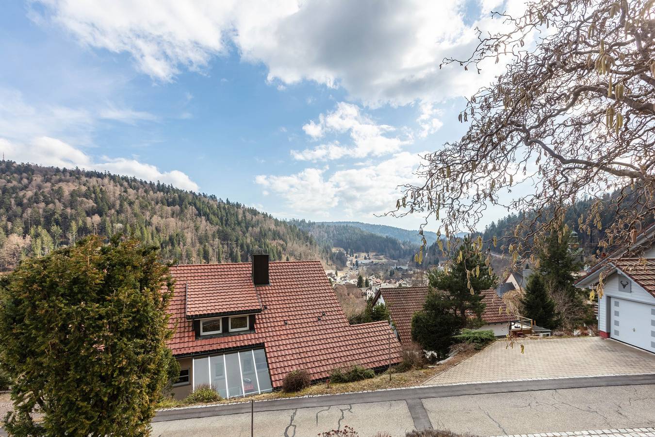 Entire apartment, Apartment 'Haus Bock' with Shared Terrace, Shared Garden and Wi-Fi in Todtmoos, Southern Black Forest