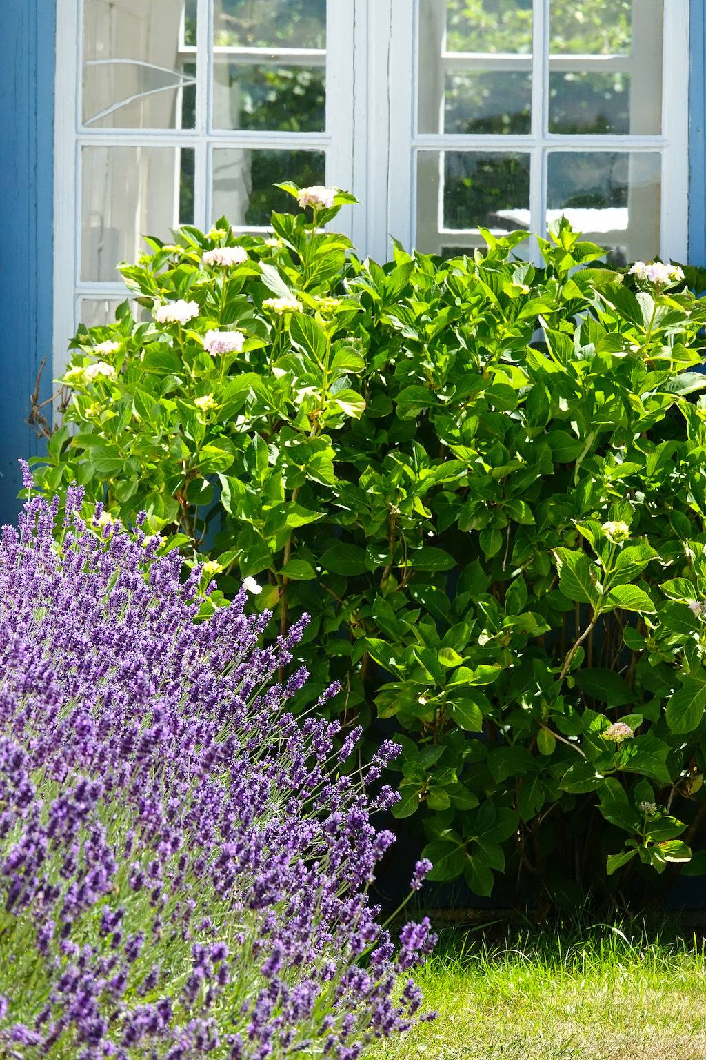 Fürstenhäuschen - Schloss Gelting, foto 10