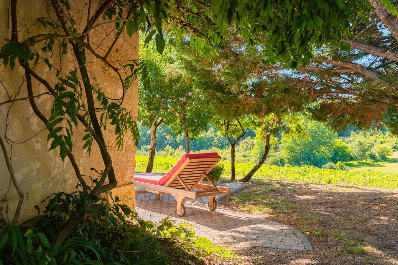 Gîte rural charentais in Les Essards, Charente