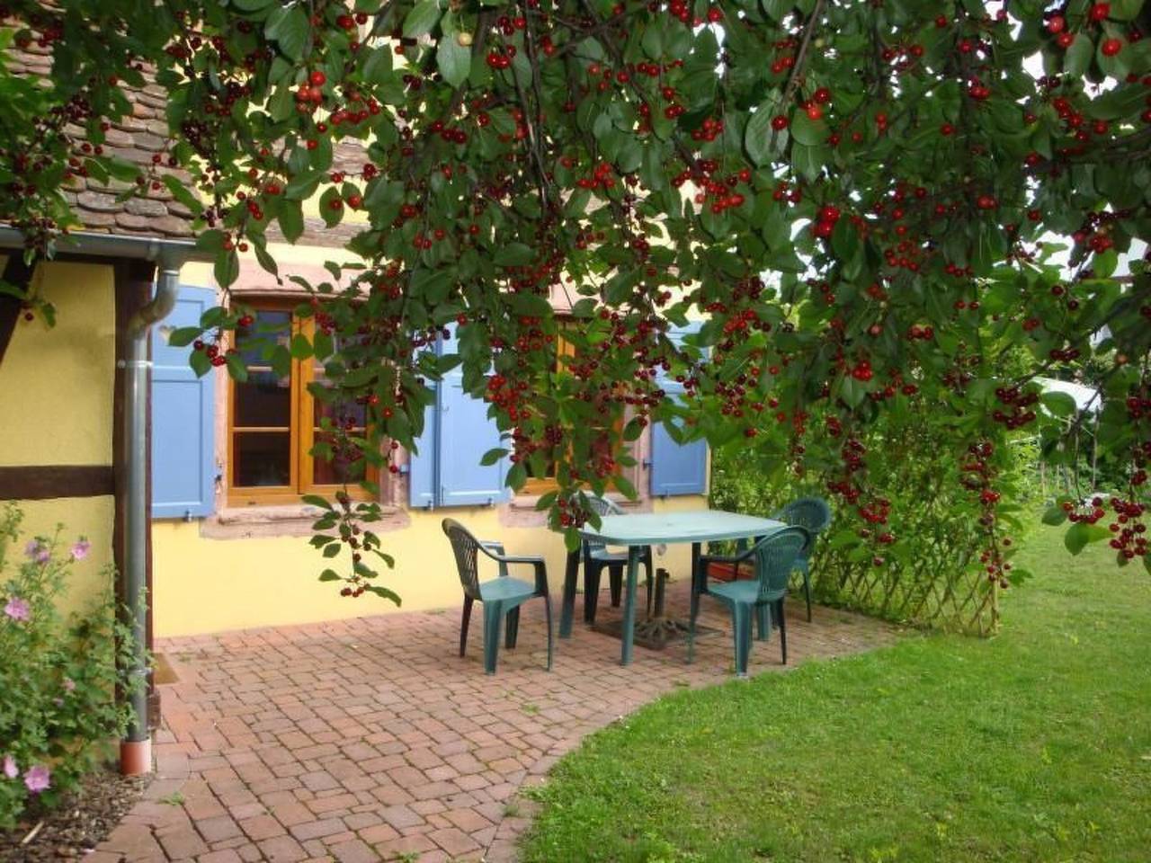 Gite "Sonneblüem un Pfefferminz" in Horbourg-Wihr, Colmar und Umgebung