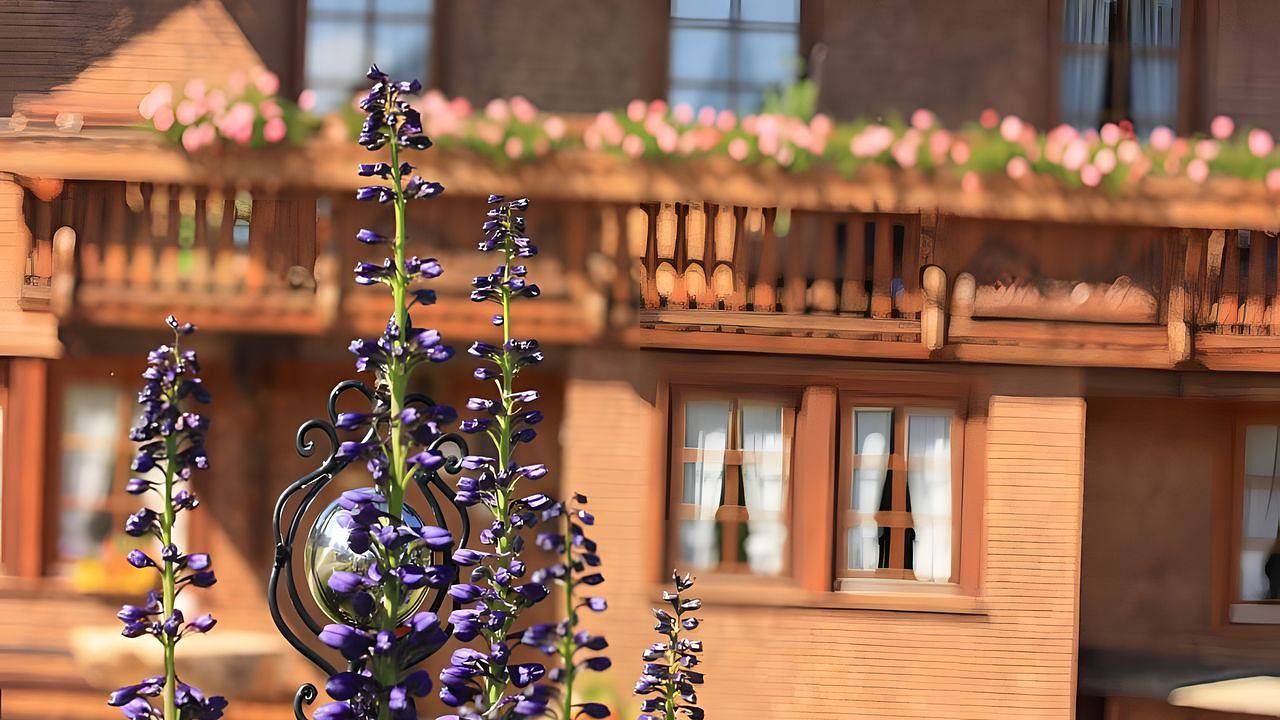 Apartamento vacacional entero, Ferienwohnung für 4 Personen (55 m²) in Schonach im Schwarzwald in Schonach im Schwarzwald, Bosque Negro sur