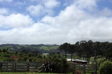 Holiday Home for 2 People in Waikato, Photo 4