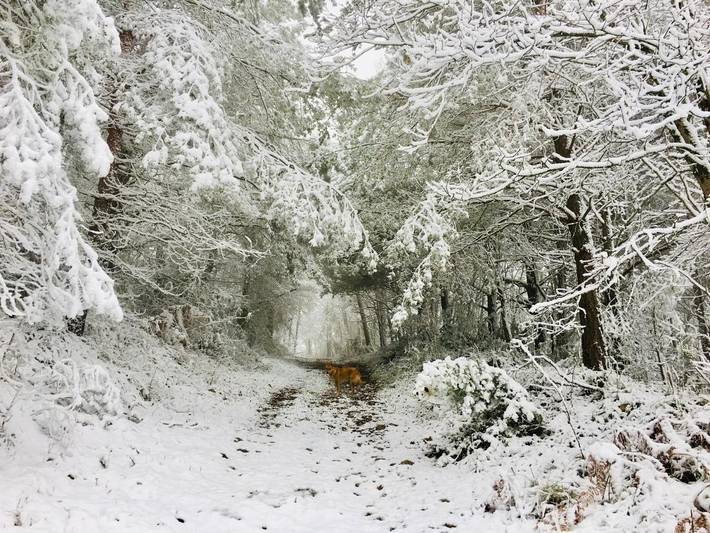 Chambre d’hôte pour 2 personnes, avec jardin ainsi que sauna et vue à Puivert - 4
