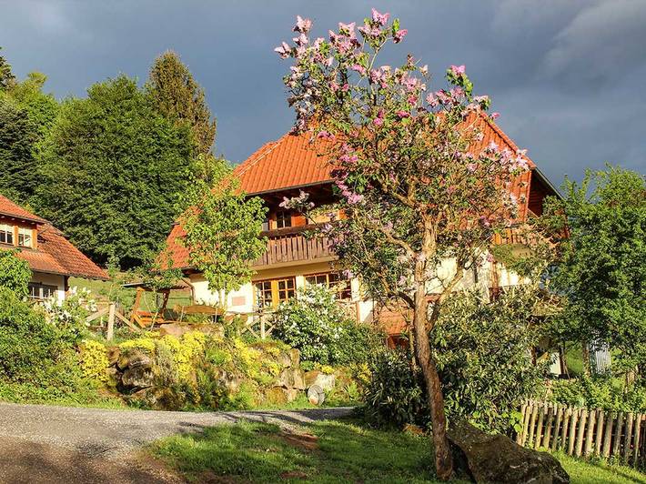 Ganze Ferienwohnung, Haghof - Ferienwohnung Tannenduft, 55qm, 2 Schlafzimmer, 1 Balkone, max. 4 Personen in Seelbach, Mittlerer Schwarzwald