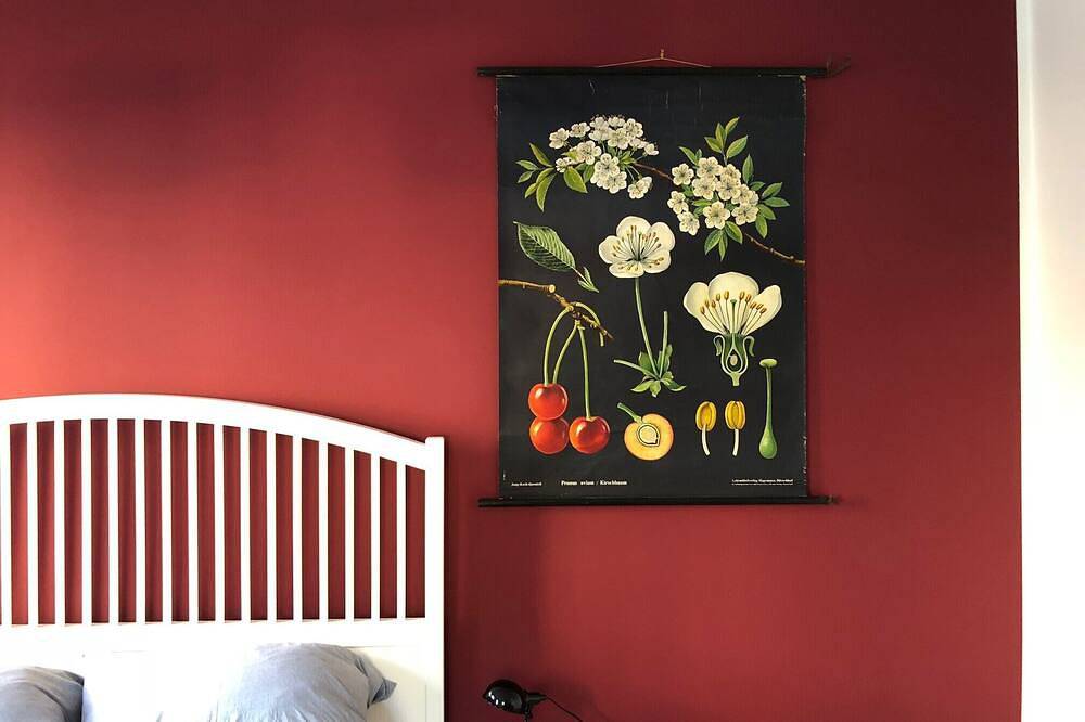 Pfarrhäusle - das Ferien-Traum-Haus im Schwarzwald in Hofstetten, Mittlerer Schwarzwald