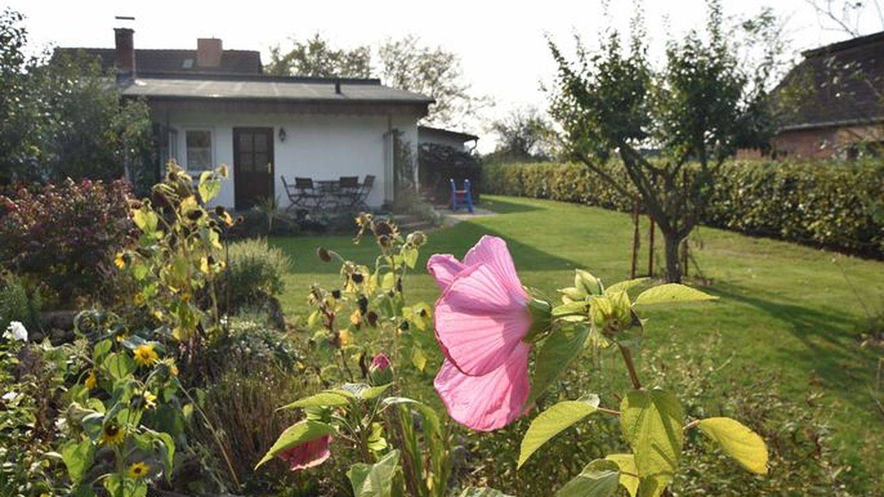 Ganze Ferienwohnung, Ferienwohnung für 3 Personen (40 m²) in Alt Farpen in Blowatz, Neuburg