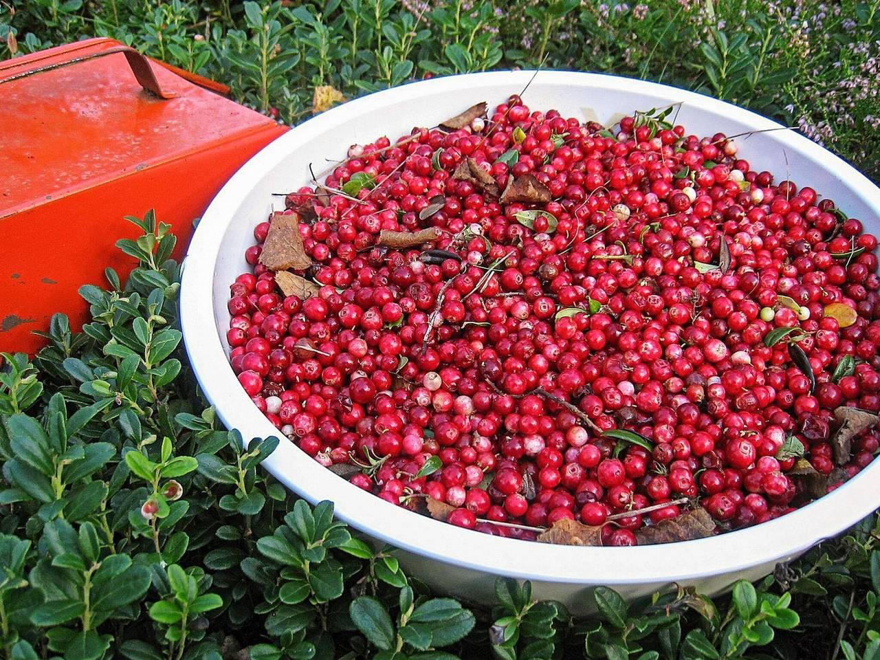 7 Personen Ferienhaus in Sälen in Tandadalen, Malung-Sälen und Umgebung