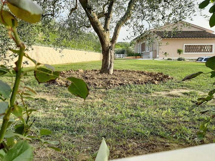 Chambre d’hôte pour 2 personnes, avec piscine et jardin en Toscane - 4
