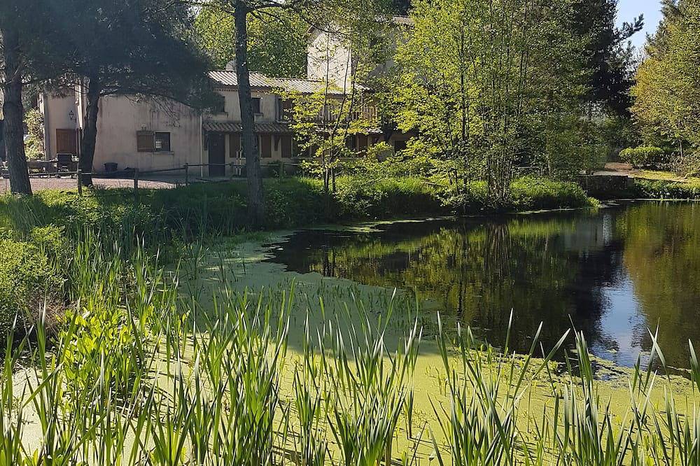 Chambre d'hôtes le Moulin de Charin- Le blé en herbe- Puy du Fou in La Pommeraie-sur-Sèvre, Fontenay-le-Comte