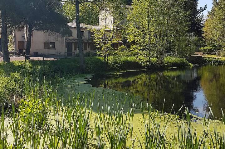 Gîte pour 5 personnes à La Pommeraie-sur-Sèvre - 4