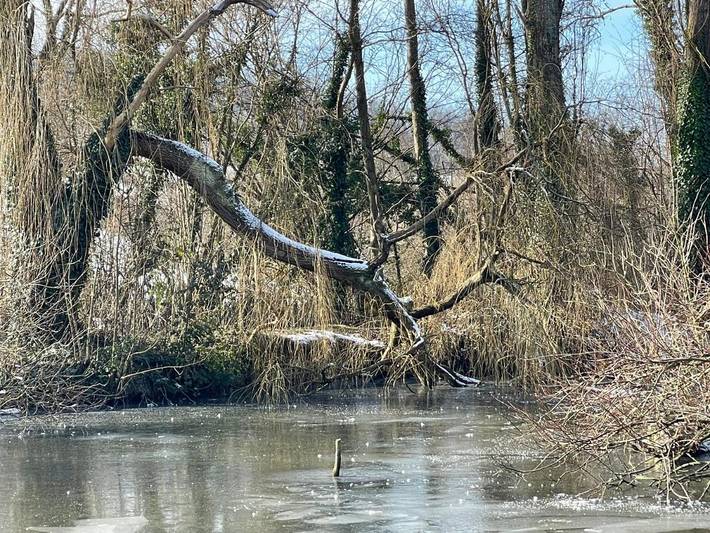 Location de vacances pour 6 personnes, avec vue et terrasse, animaux acceptés à Manneville-la-Pipard - 4