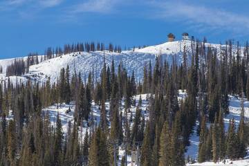 Vacation Apartment for 2 Guests in Southwest Colorado, San Juan National Forest, Picture 1