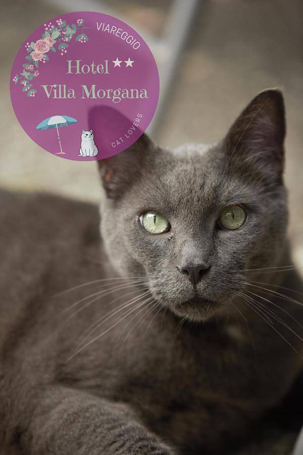 Hôtel pour 2 personnes, avec jardin et balcon à Viareggio - 3