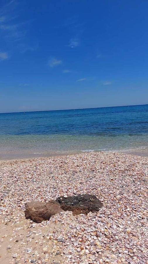 Gîte pour 5 personnes, avec vue et jardin ainsi que bassin pour enfant et piscine, animaux acceptés dans Restinga Smir - 2