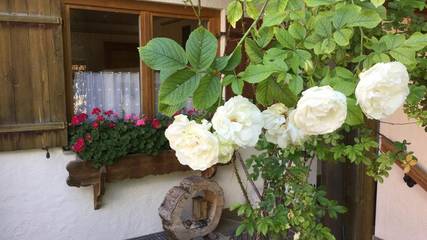 Ferienwohnung für 4 Personen, mit Balkon in Hinterstein