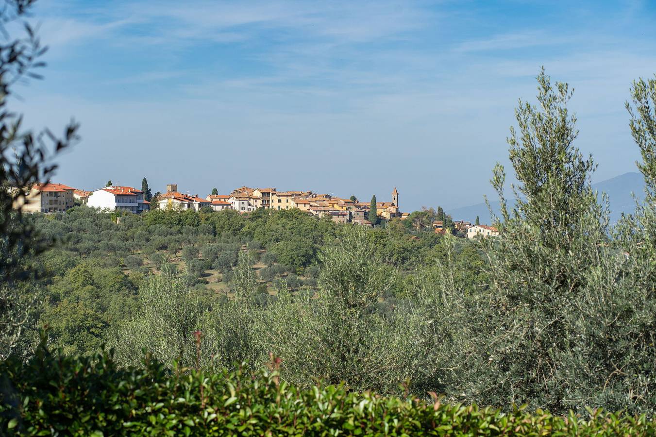 La Miccia in Laterina Pergine Valdarno, Chianti