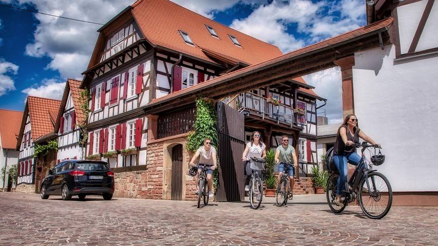 Ferienwohnung für 4 Personen in Kandel