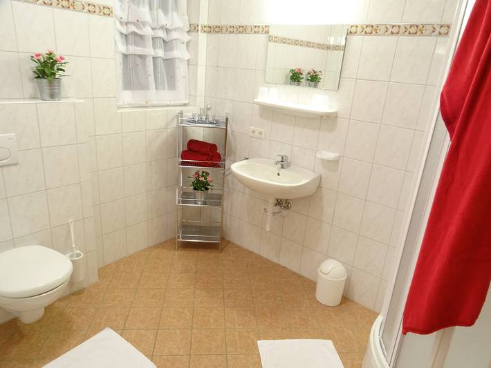 Ganze Wohnung, "App 2-4 Personen" in der Ferienwohnung Haus Alpenjuwel in der Nähe mehrerer Skigebiete in Tuxer Alpen, Hippach