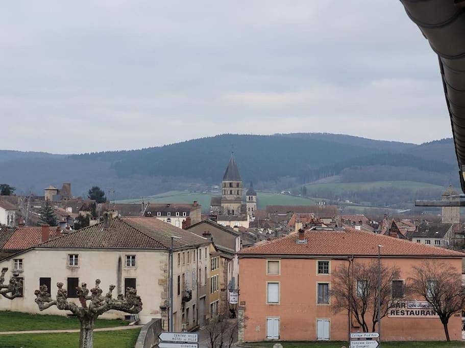 Appartement entier, Two-Bedroom Apartment in Cluny, Région de Mâcon