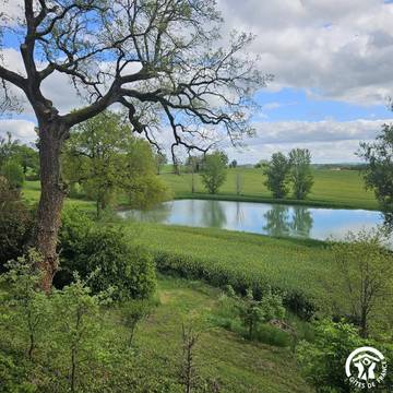 Gîte pour 6 personnes, avec jardin à Rouffiac