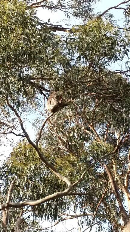 Holiday home for 5 people, with terrace in Wye River