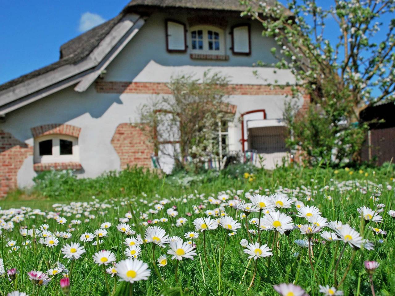 Ferienhaus Sonnenwinkel unterm Reetdach mit Sauna und Kamin - Ferienhaus Sonnenwinkel unterm Reetdach mit Sauna u. Kamin in Altensien, Sellin