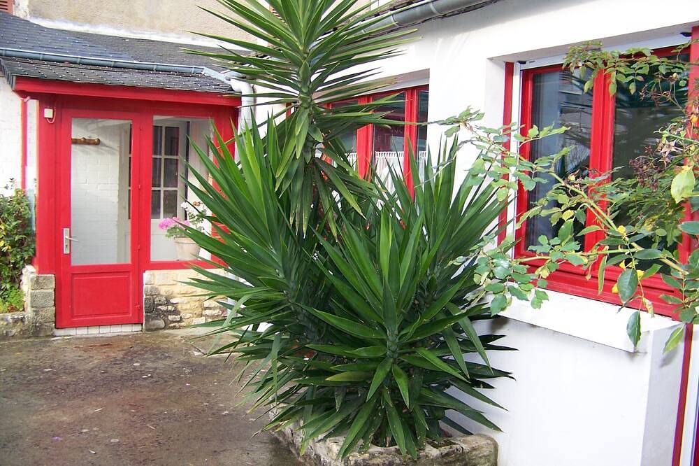 Welcome to the elves in Luc-sur-Mer, Caen region