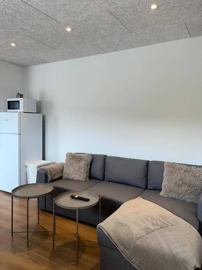 Cały apartament, Central Living Billund - By Viktorija in Billund, Billund region