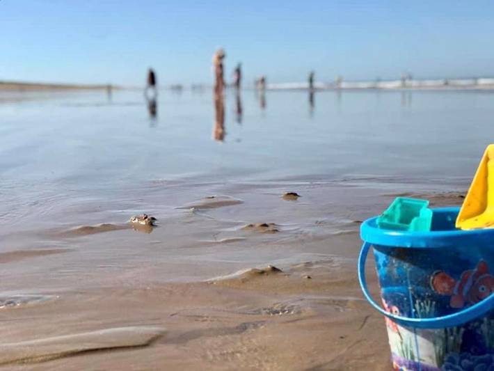 Location de vacances pour 4 personnes, avec terrasse et piscine dans Plage des Dunes (Bretignolles-sur-Mer) - 2