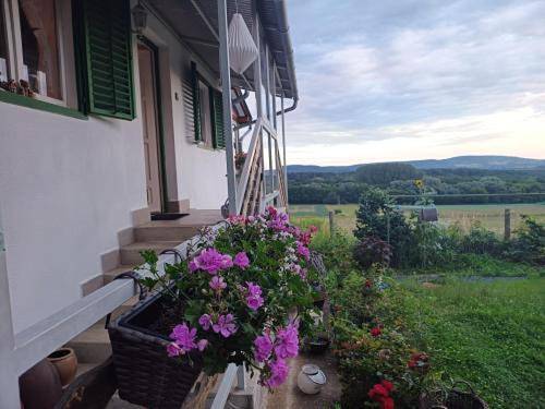 Camping für 2 Personen, mit Ausblick in Ungarn